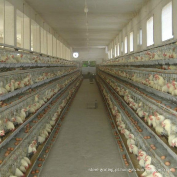 Gaiola de ovos de galinha galvanizada por imersão a quente, bateria de baixo custo para frango, suprimento de fábrica